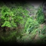ravine-bernica-1280x850-1