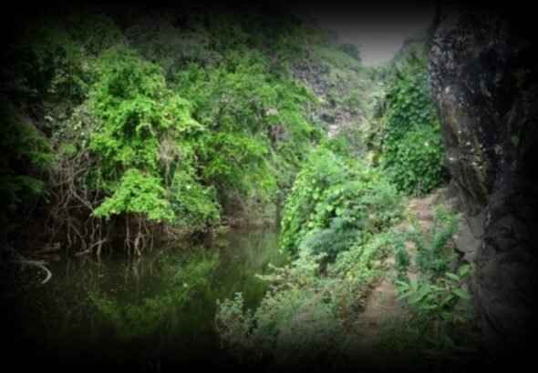 ravine-bernica-1280x850-1